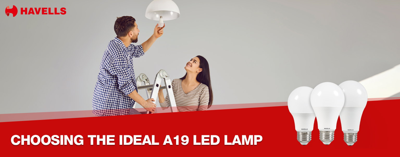 Couple installing Havells A19 LED lamp at home with energy-efficient bulbs displayed, promoting ideal lighting solutions.
