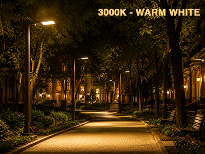 3000K – Warm White for Welcoming and Environmentally Sensitive Areas